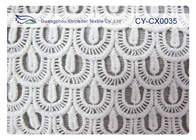 란제리, 내복 CY-CX0035를 위한 Eco 친절한 수를 놓은 레이스 직물