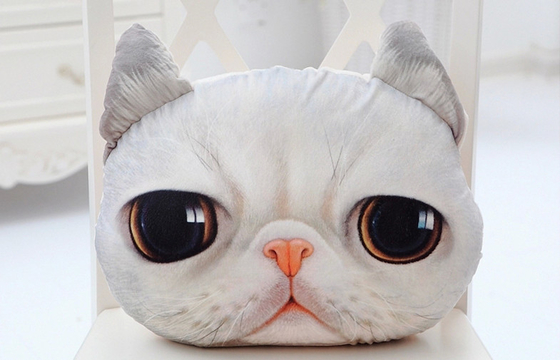 3D 고양이 얼굴 선물 부드러움은 견면 벨벳 베개, 소파를 위한 장식적인 베개를 채웠습니다